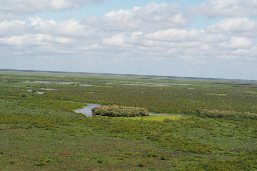 Mozambique - Écotourisme au Parc National de Gorongosa