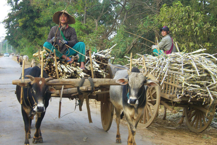 Birmanie - Le Lac Inle, Un Bijou en Birmanie