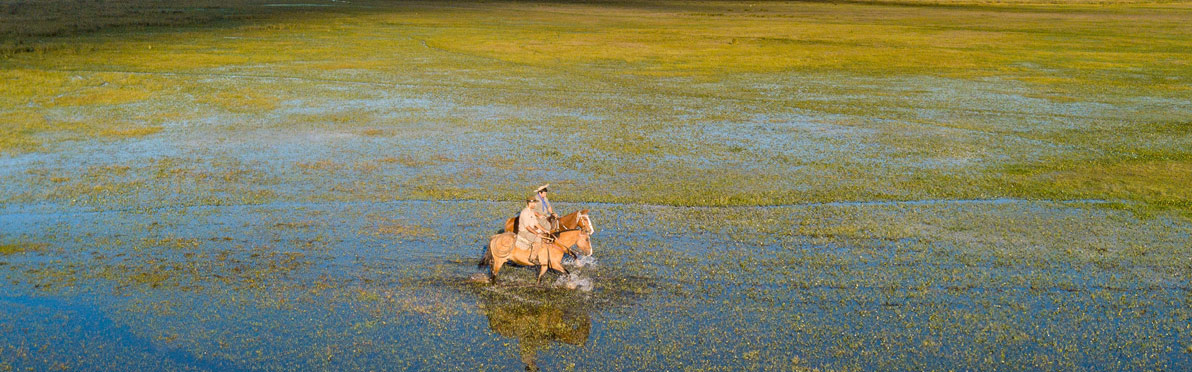 Voyage Découverte en Argentine - Excursion aux Esteros del Ibera