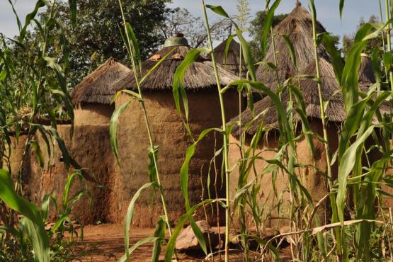 Un patrimoine exceptionnel Voyage découverte au Bénin - Les Tata, des Châteaux Forts… en Banco