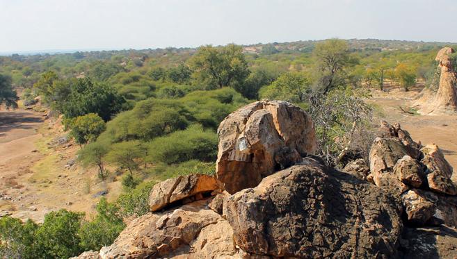 Wild At Tuli, Un paradis Sauvage Au Cœur du Botswana