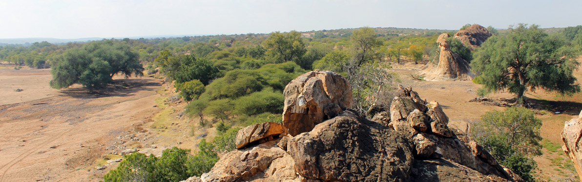 Landscape - Tuli Voyage Découverte au Botswana -Wild At Tuli