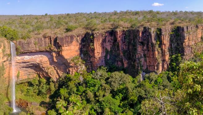 Le Pantanal, en Jungle Brésilienne