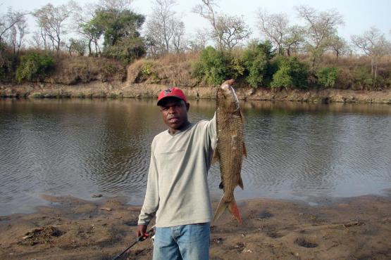 Un guide avec un Binga Voyage Découverte au Cameroun - Pêche Sportive et Petits Hommes de la Forêt