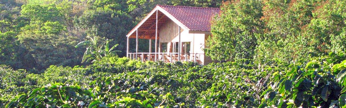 Maison de maître à la plantation Don Juan Voyage Découverte au Costa Rica - L'un des meilleurs café au monde