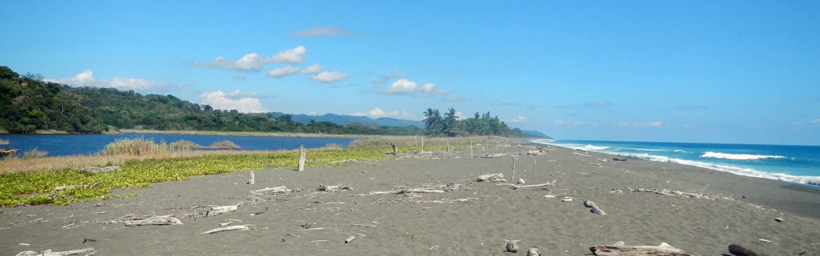 Voyage Découverte au Costa Rica - Osez la Péninsule d’Osa