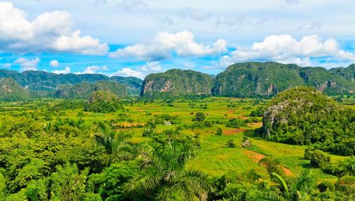 Immersion rurale dans la Vallée de Viñales et à Pinar Del Rio