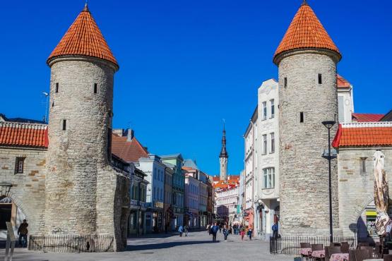 Tallinn - Viru Gate Voyage Découverte en Estonie - Tallinn, Joyau de la Baltique