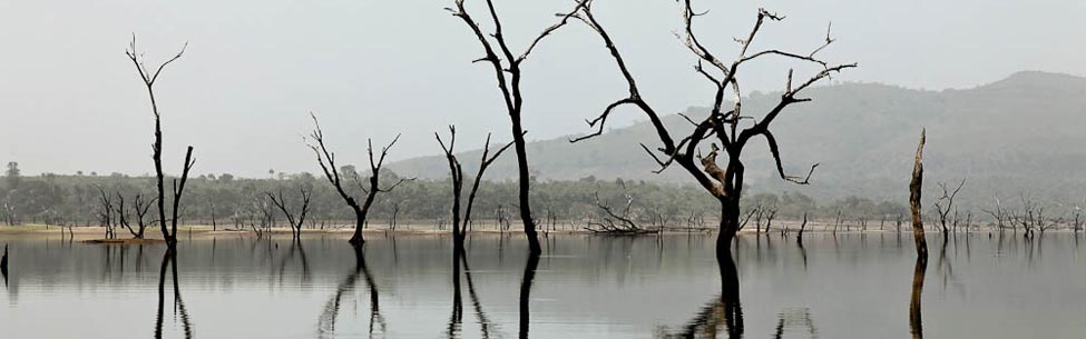 Voyage Découverte en Guinée - Samaya, le Lac aux Mille Pattes