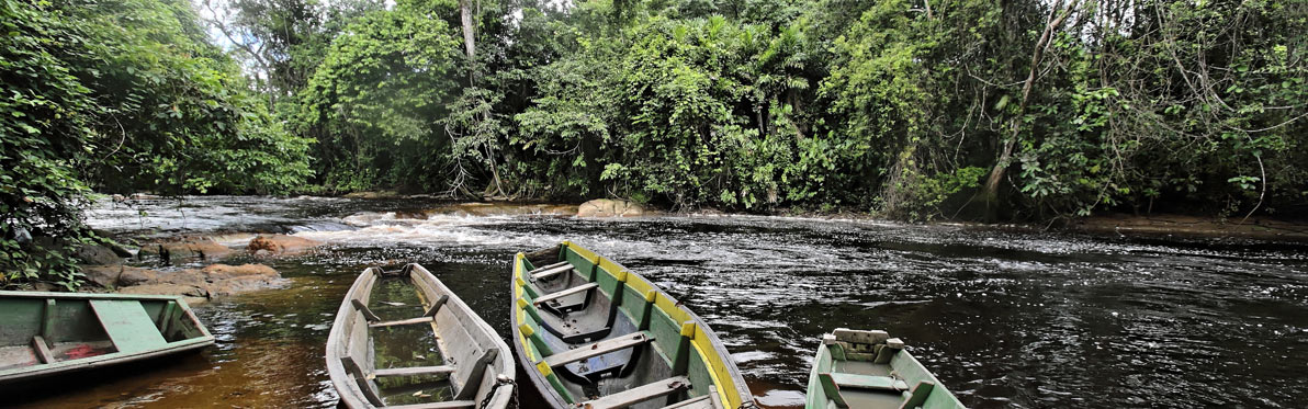Crique Organabo Voyage Découverte en Guyane - Un Bout d’Amazonie en France