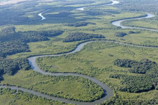 Jungle en Guyane Voyage Découverte en Guyane - Un Bout d’Amazonie en France