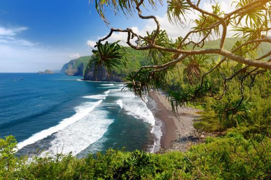 Big Island - Rocky beach of Pololu Valley Voyage Découverte à Hawaï - Volcans, plages et traditions sur Big Island