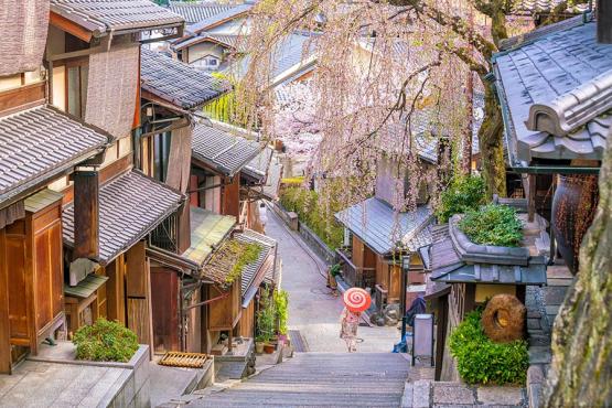 Kyoto, the Higashiyama District during sakura season Voyage Découverte au Japon - Kyoto, un concentré du Japon