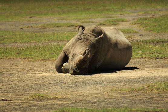 Kenya Voyage Découverte au Kenya - La Vallée du Rift, Aux Origines de l’Humanité…