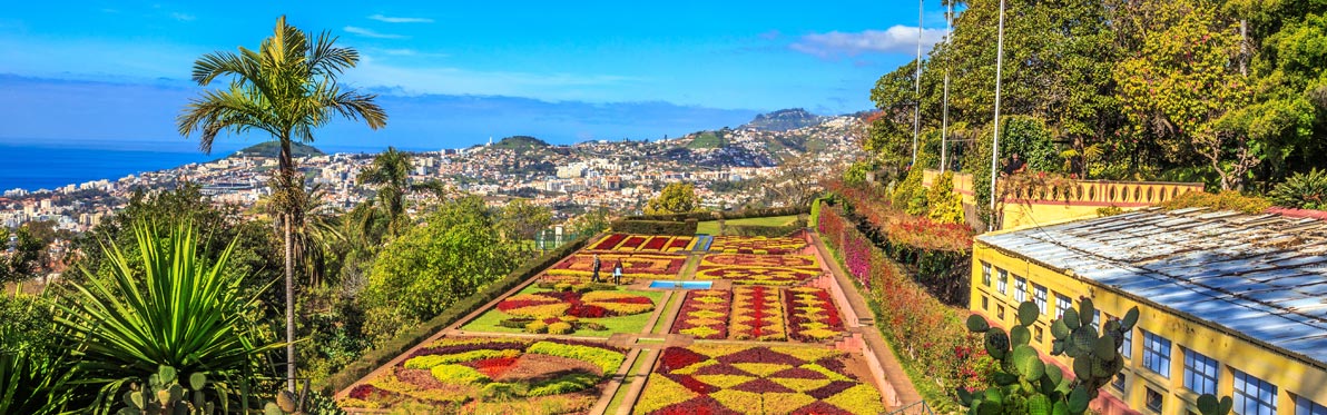 Voyage Découverte à Madère - Funchal