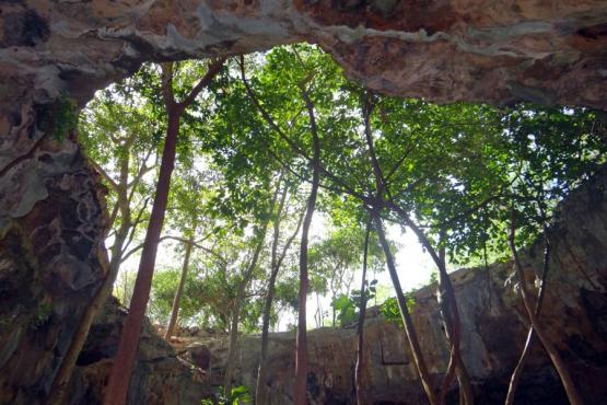 Calcetok Voyage Découverte au Mexique - Voyage sous terre au Yucatan