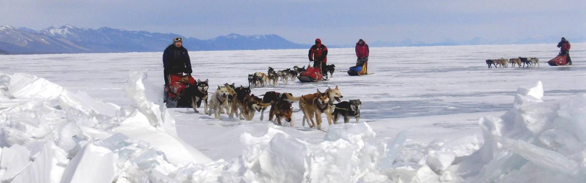 Voyage découverte en Mongolie -... Aventure en traîneau à chiens