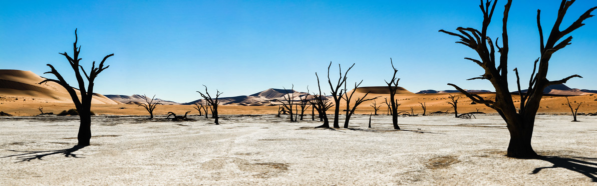 Voyage Découverte en Namibie - Une Terre de Mirages