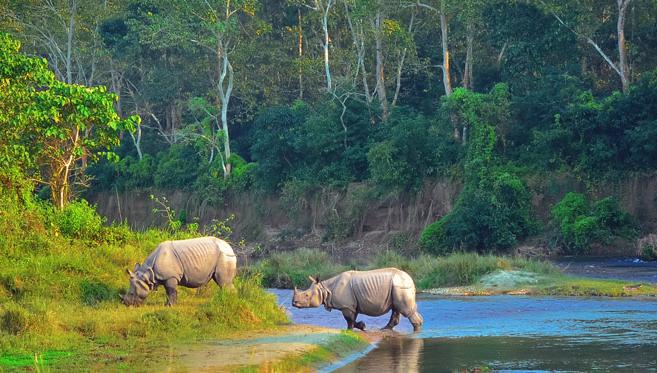 Chitwan, un parc national d'une valeur exceptionnelle