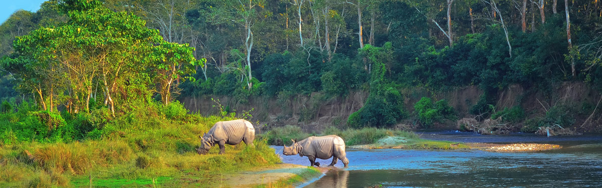 Voyage Découverte au Népal - Chitwan, un parc national d'une valeur exceptionnelle