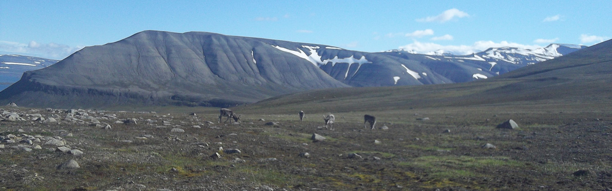 Voyage Découverte en Norvège - Svalbard …Au Nord, toujours plus au Nord