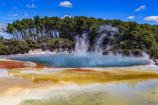 Rotorua - Wai-O-Tapu Voyage Découverte en Nouvelle-Zélande - Rotorua, une ville pleine de curiosité