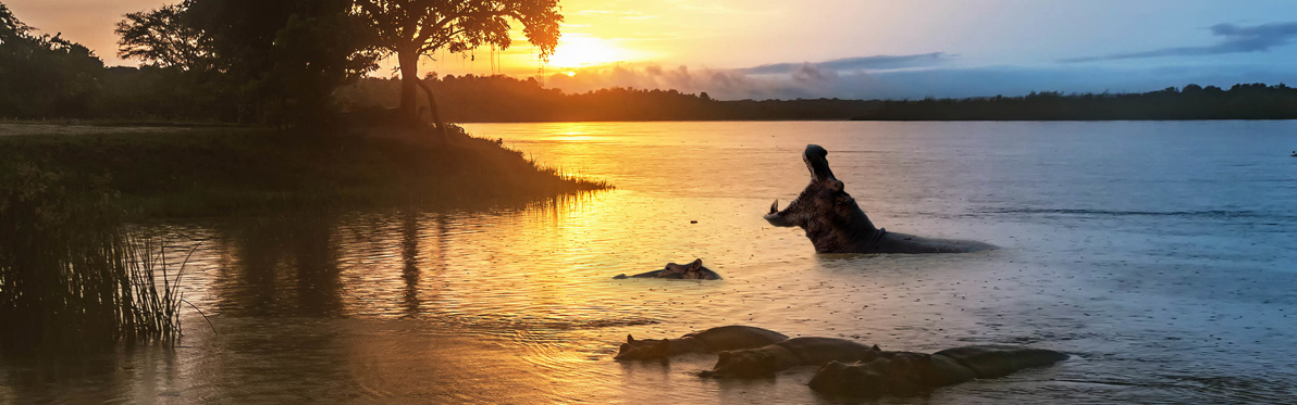 Voyage Découverte en Ouganda - L'Ouganda, la Perle de l'Afrique