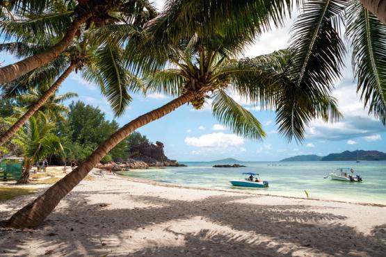 Curieuse Island Voyage Découverte aux Seychelles - D'Île en Île aux Seychelles