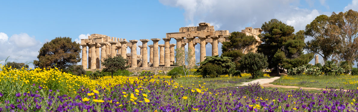Selimonte Voyage Découverte en Sicile - Mosaïque d'histoire au cœur des sites archéologiques de Sicile