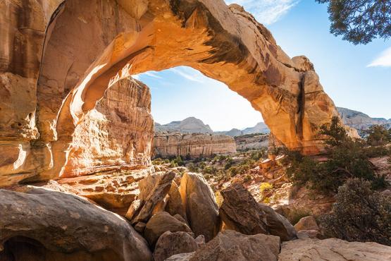 Hickman Natural Bridge, Capitol Reef Voyage aux USA - L'Ouest Américain hors sentiers battus