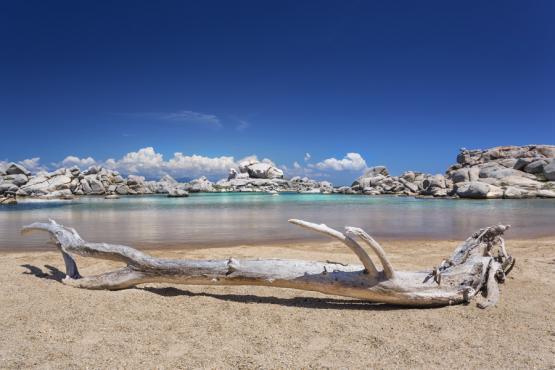 Corse - Les Iles Lavezzi Voyage Découverte en France - D'îles en criques en Corse du Sud