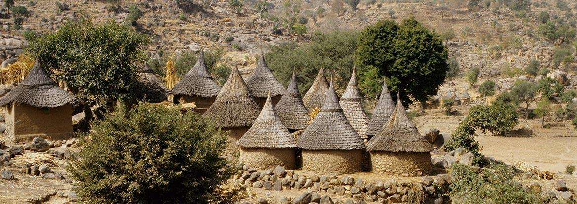 Wasa National Park Guide de Voyage - Cameroun