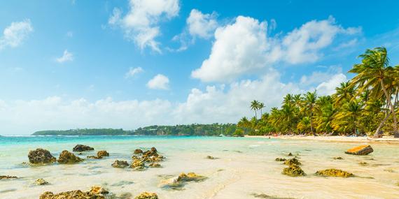 Guide de Voyage - Guadeloupe
