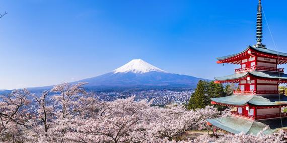 Guide de Voyage - Japon
