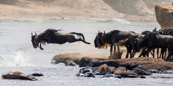 Guide de Voyage - Kenya