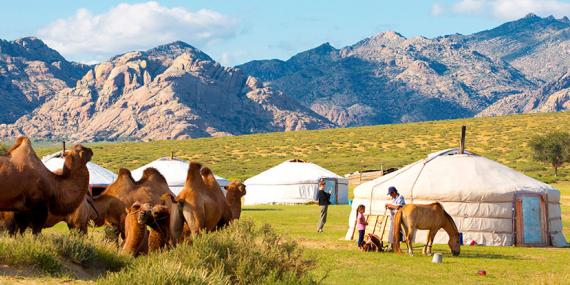 Guide de Voyage - Mongolie