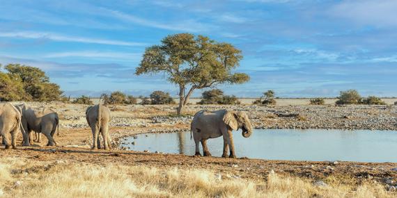 Guide de Voyage - Namibie