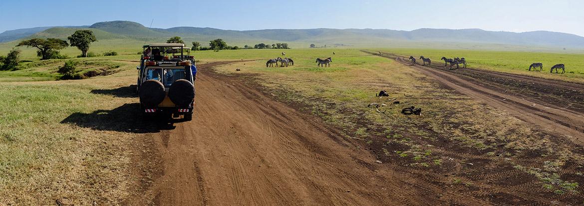Ngorongoro crater safari Guide de Voyage - Tanzanie