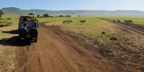 Guide de Voyage - Tanzanie