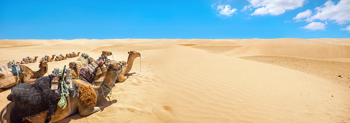 Désert Tunisien Guide de Voyage - Tunisie