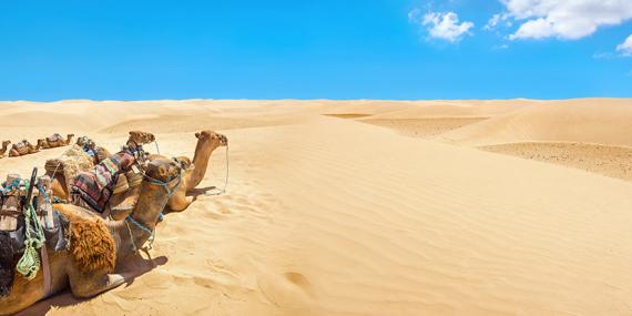 Guide de Voyage - Tunisie