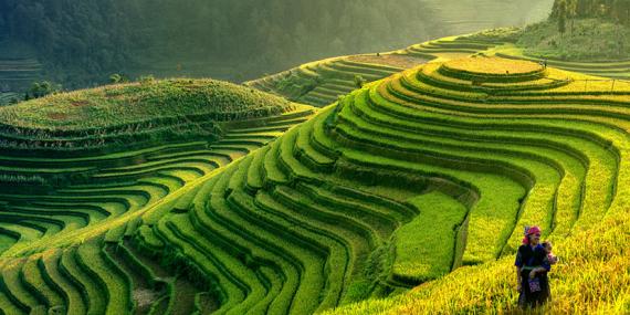 Guide de Voyage - Vietnam