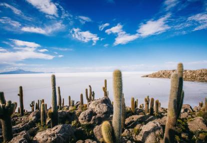 Incahuasi island -Uyuni Voyage en Bolivie - Entre Déserts et Lagunes