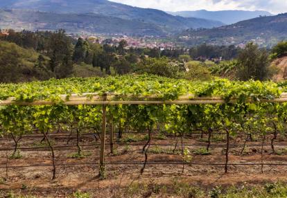THUMB - Samaipata - Vineyard Voyage en Bolivie - Vins et Couleurs de Bolivie