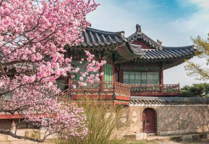 Séoul - Palais de Changdeokgung Voyage en Corée - Corée du Sud Impériale