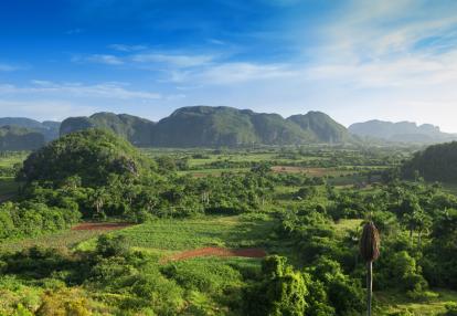 Vallée de Vinales Voyage à Cuba - Vue d'Ensemble