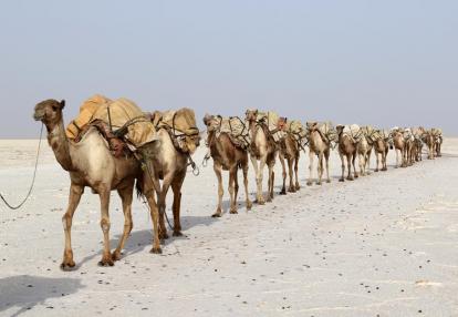 Lac Assal Voyage à Djibouti - Entre Désert et Mer Rouge