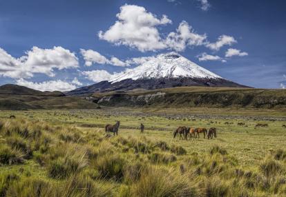 Cotopaxi Trekking en Equateur- Cotopaxi et Chimborazo