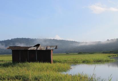 Marais de Kaw Voyage en Guyane - Séjour T'Air de Nature