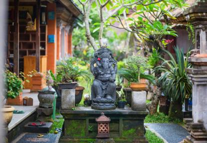 Bali - Ubud Voyage en Indonésie - Bien-être et Relaxation à Bali